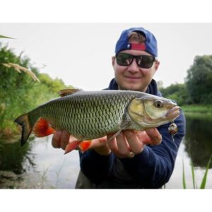Wobler Salmo Lil`Bug 3cm - pływający - Green Bug - obrazek 3