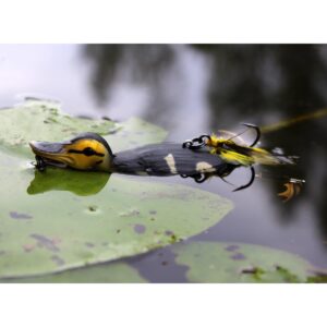 Savage Gear 3D Suicide Duck 10.5cm - Natural - obrazek 3
