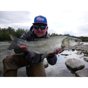 Wobler Wob-Art Ukleja 6, 5 cm - tonący - Blue - obrazek 3