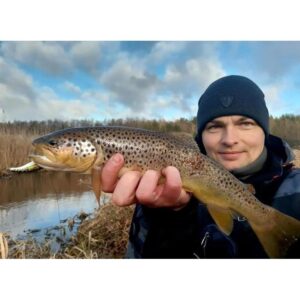 Wobler Salmo Slick Stick 6cm - pływający - Real Bleak - obrazek 3