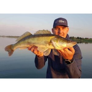 Fox Rage Zander Pro 10cm - Green Pumpkin - obrazek 3