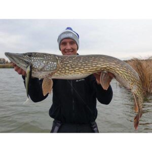 PRZYNĘTA MIKADO SICARIO 8.5cm/ YELLOW LIME 1 szt - obrazek 3