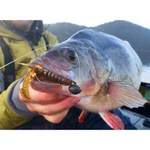 Przynęta WESTIN CreCraw Creaturebait 6, 5cm 4g Lava Craw- 1szt - obrazek 3