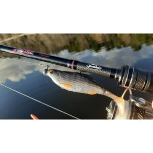 Przynęta BERKLEY Pulse Realistic Roach 11cm - Bleak - obrazek 3