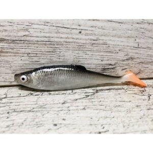 Guma SEWRO CUSTOM BAIT Ukleja 10cm- Czarna - obrazek 3