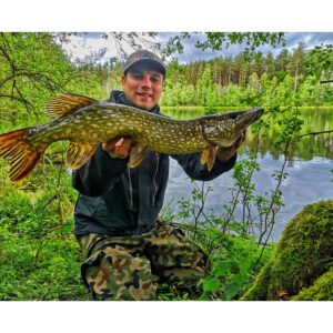 Przynęta MIKADO FISHUNTER 15cm,  kolor 63 op 2szt - obrazek 3