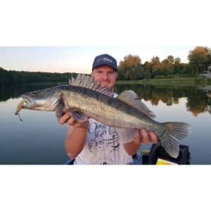 Fox Rage Slick Shad 11 cm Pearl - obrazek 3