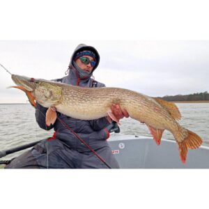 Przynęta WESTIN TwinTeez Pelagic V-Tail 20cm - 30g - Black Mamba - obrazek 3