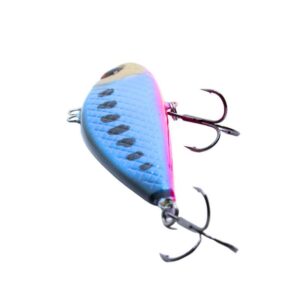 Wobler Engima Baits Cykada 9cm - Rainbow - tonący - obrazek 3
