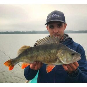 Keitech Easy Shiner 2"/5, 08cm #426 Sexy Shad - 12szt. - obrazek 3