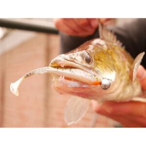 Fox Rage Slick Shad 11 cm UV Perch - obrazek 4