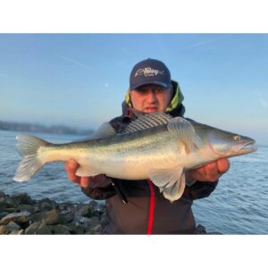 Wobler Siek Ukleja 8cm - pływający - GK - obrazek 3