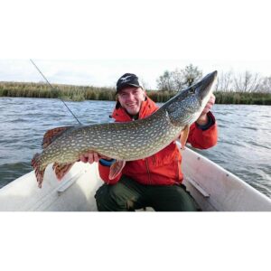 Fox Rage Pro Grub UV Perch 16cm - obrazek 3