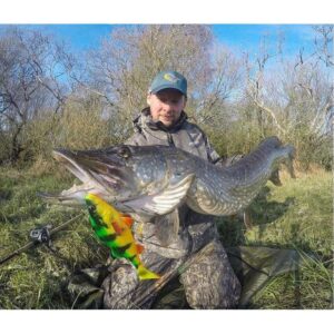 Savage Gear 4D Perch Shad 17.5cm SS 67g - Firetiger - obrazek 3