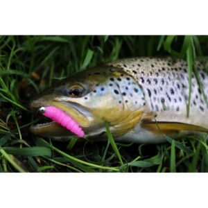 Przynęta Libra Lures Larva 4.5cm, 036 - coffee milk- 8szt (zapach krylowy) - obrazek 4