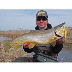 Wobler SALMO Minnow 7cm - pływający - Grayling - obrazek 3
