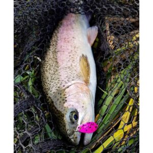 Błystka wahadłowa MADEY Pazur - 3,3g - Rainbow Trout - obrazek 3