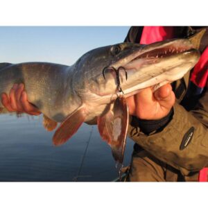 Wahadłówka OLDSTREAM S01 - 30g - N04 - obrazek 4