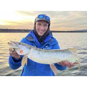 Guma MIKADO MFT Roach 8cm Bleedeng Blue - obrazek 3