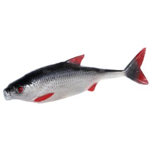 Guma SEWRO CUSTOM BAIT Płoć 19, 5cm - naturalny ogon - obrazek 4