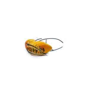 Wobler Engima Baits Osa 3, 5cm - Osa Pospolita - pływający - obrazek 3