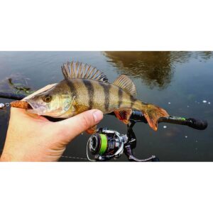 Przynęta Perch Professor Fluky Shad 2.5"/6, 5cm - #01 Original - 6 szt. - obrazek 3