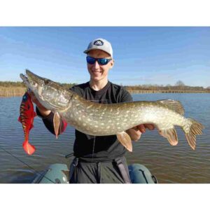 Guma MIKADO MFT Roach 12cm Carissio - obrazek 3