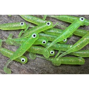 Przynęta Great Fish GF1 - 4.9cm - 1g - Glitter Light Green - Krewetkowy -10szt. - obrazek 4