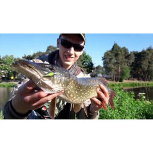 Przynęta MIKADO Fish Fry 8cm / 362 5szt - obrazek 4
