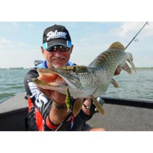 Wobler Salmo Rail Shad 6cm - tonący - Holographic Purpledescent - obrazek 4