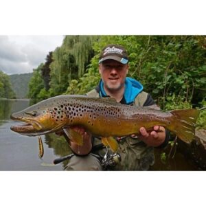 Wobler SALMO Minnow 5cm - tonący - Grayling - obrazek 4