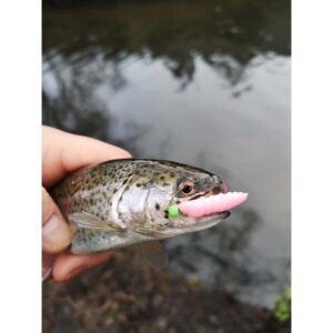 Przynęta FishUp Pupa 1, 2” (3, 2 cm) - #103/Yellow - 8 szt.  (KRYL) - obrazek 4