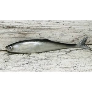 Guma SEWRO CUSTOM BAIT Ukleja 16cm- Czarna Naturalny Ogon - obrazek 4