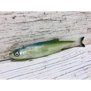 Guma SEWRO CUSTOM BAIT Ukleja 12.5cm- Zielona Naturalny Ogon - obrazek 4
