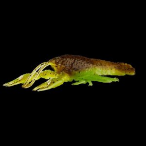 Guma SAVAGE GEAR Ned Craw 6.5cm 2.5g Floating Green Pumpkin - obrazek 4