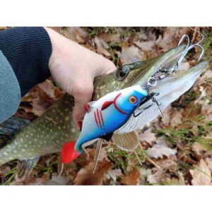 Guma MIKADO MFT Roach 12cm Carissio - obrazek 4