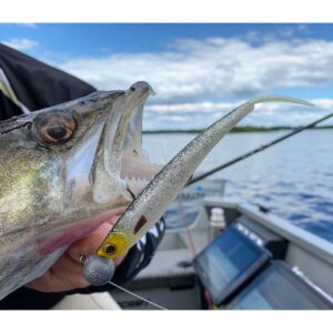 Przynęta WESTIN TwinTeez V-Tail 15cm 14g - Headlight - 1szt. - obrazek 4