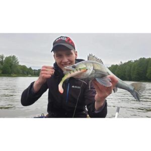 Przynęta MIKADO FISHUNTER 8cm,  kolor 335 op 5szt - obrazek 4