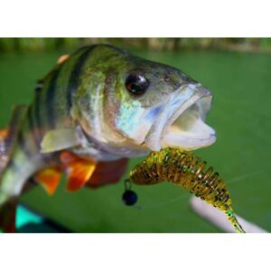 Przynęta FishUp Tanta 1, 5" (4, 2cm) - #043/Watermelon Brown/Black - 10 szt. - obrazek 5