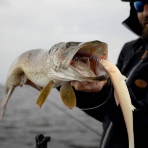 Dozbrojka BKK BB Trigger-21 UVO #2/0 op. 1szt do gum 22-26cm - obrazek 5