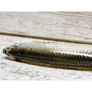 Guma SEWRO CUSTOM BAIT Ukleja 16cm- Czarna Kopyto Pomarańcz - obrazek 5