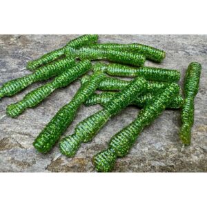 Przynęta Great Fish GF2 Leech - 6cm - 1.8g - Glitter Green - Bezzapachowy - 10szt. - obrazek 5