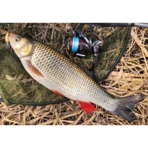 Wobler Siek Bzyk 3, 5cm - pływający - SL - obrazek 4