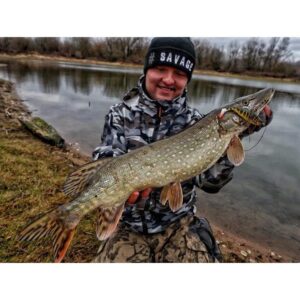 Guma SAVAGE GEAR 4D HERRING SHAD 13cm - Edycja Limitowana - Dirty Roach - obrazek 5