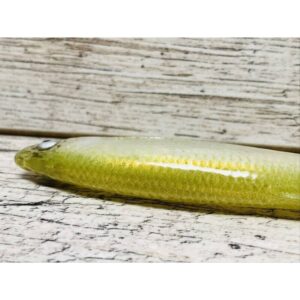 Guma SEWRO CUSTOM BAIT Ukleja 16cm- Oliwka Naturalny Ogon - obrazek 5