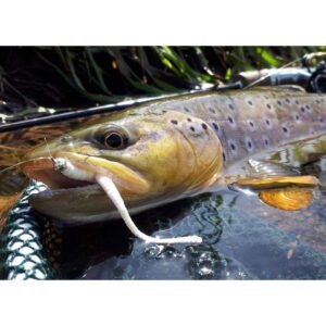 Przynęta LIBRA LURES Dying Worm 8cm - 036 - coffee milk - 12szt (bez zapachu) - obrazek 5