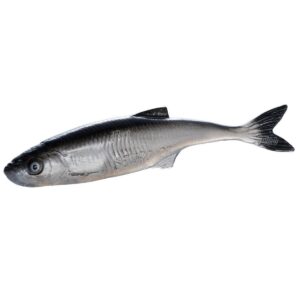 Guma SEWRO CUSTOM BAIT Ukleja 12.5cm- Czarna Naturalny Ogon - obrazek 5