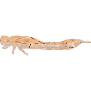 Guma Westin Odonata Ned Creaturebait 6,5cm | UV Shrimp | 4 szt. - obrazek 1