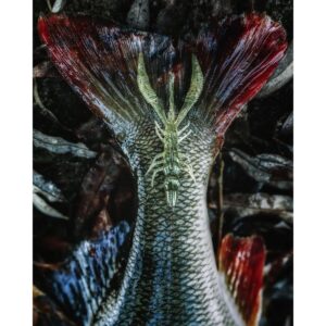 Guma Nays CRTR 30 | 7.6cm | C-07 | 7 szt. - obrazek 2