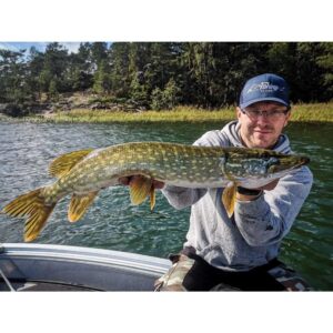 Guma SAVAGE GEAR Real Eel 15cm 12g LAMPREY PHP - obrazek 2